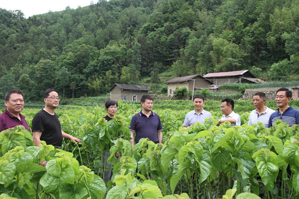 安康市商務(wù)局領(lǐng)導(dǎo)來我公司調(diào)研春蠶收購及扶貧點(diǎn)蠶?；亟ㄔO(shè)情況